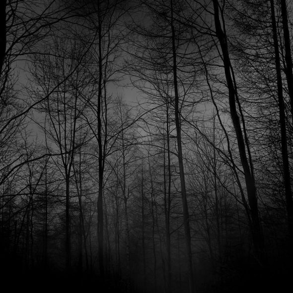 dark-w dark-w
